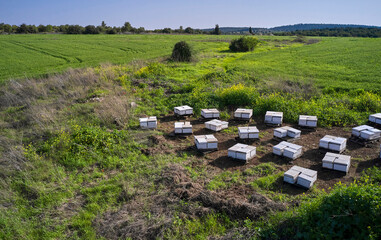 Apiary in the countryside, Israel