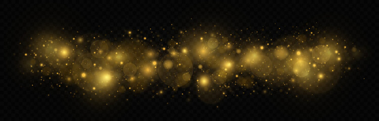 Golden shiny light effect. Sparkling magical dust particles. The dust sparks and golden stars shine with special light on transparent background.