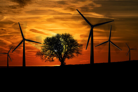 Silhouettes of a group of wind turbines and a bare tree against a dramatic sky with a beautiful sunset, backlit. Renewable energies concept.