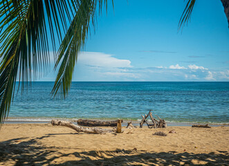 Fototapeta na wymiar Tropical beach with palm tree and driftwood