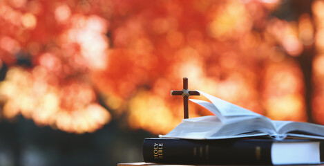 Red maple leaves and autumn trees in forest and Holy cross of Jesus Christ and bible book on table
