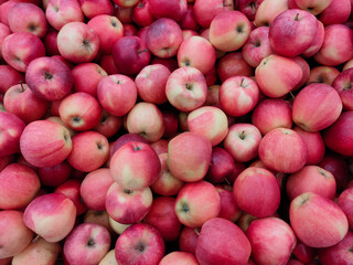ripe fresh yellow red apples on the counter of the grocery market
