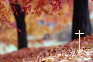 Crucifixion of Jesus Christ on a pile of fallen leaves in a beautiful autumn forest with falling red maple leaves
