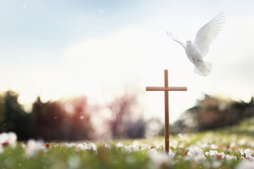 Cross symbolizing the death and resurrection of Jesus Christ, spring flowers, falling petals,...