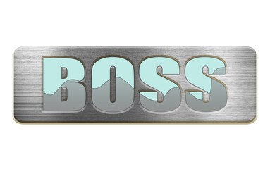 boss door

