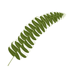 Green leaves with green line border overflow.	