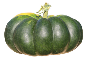 Une belle citrouille verte