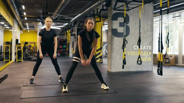 Female friends training together in gym, morning warm-up, healthy habits