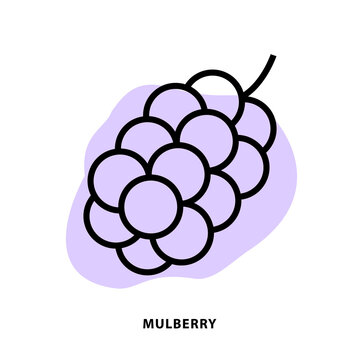 Mulberry linear icon design for application or web design template. Vector Mulberry-root line icon with blot shape background.