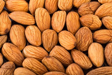 The delicious fresh almond nut on deck