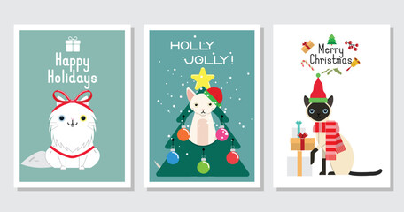 Collection of Christmas cats, Merry Christmas illustrations of cute cats greeting cards with accessories like a knitted hats, sweaters, scarfs.