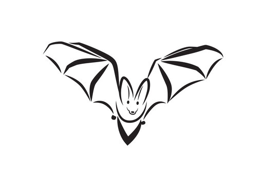 Flying bat vector isolated on black background. Plecotus austriacus, Pipistrelle bat. 