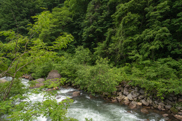 Fototapeta na wymiar 初夏の苗名滝の下流