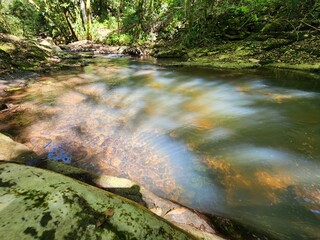 arroio na mata nativa, selva, água cristalina