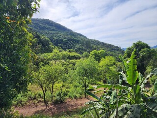 vista panorâmica de montanhas