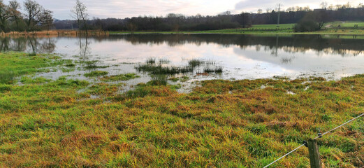 Flooded grass field in a Danish rural area after heavy rain