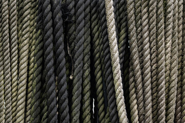 close up of ropes