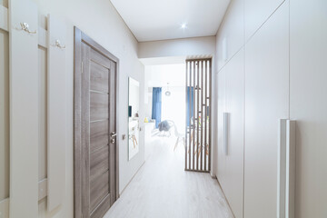 interior design of an apartment with a bright corridor and a door