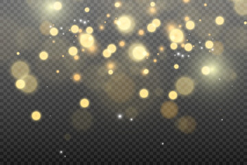 Brilliant gold dust vector shine. Glittering shiny ornaments for background. Vector illustration.