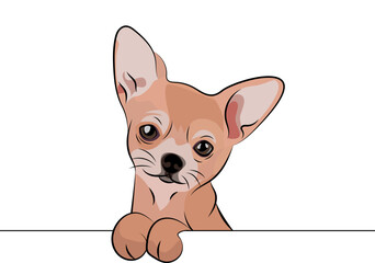 Funny chihuahua dog with paws over white wall, pocket vector illustration. Funny toy dog smiling. Cute dog head on a white background. Hand-drawn mascot.