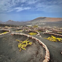 Lanzarote volcanic landscape 