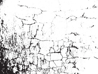 Splatter Paint Texture . Distress Grunge background . Scratch, Grain, Noise rectangle stamp . Black Spray Blot of Ink.Place illustration Over any Object to Create Grungy Effect .abstract vector
