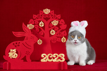 a cute cat wears a hat with rabbit ears nearby a Chinese New Year of Rabbit mascot paper cut the...