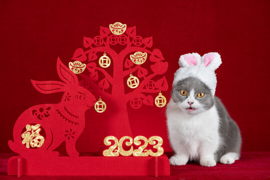 a cute cat wears a hat with rabbit ears nearby a Chinese New Year of Rabbit mascot paper cut the Chinese means fortune no logo no trademark