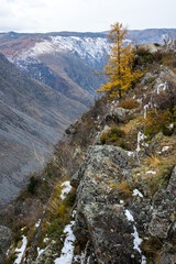 View of Altay mountains