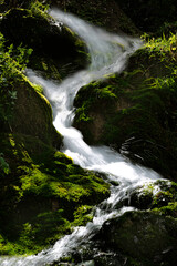 Naklejka premium Sorgente