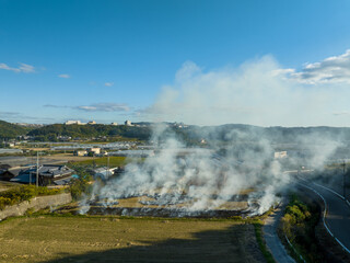 Fototapeta premium Smoke rises from controlled burn on rice field after autumn harvest