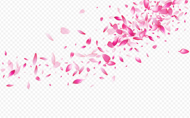 Light Apple Vector Transparent Background. Heart