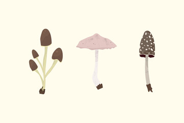 Set of realistic vector mushrooms isolated.