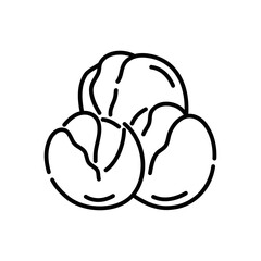 Brussel Sprouts doodle icon. Hand drawn black sketch. Vector Illustration.