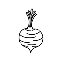 Beetroot doodle icon. Hand drawn black sketch. Vector Illustration.