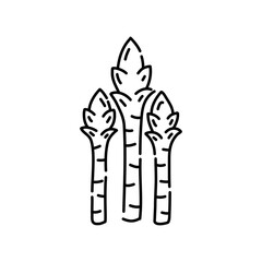 Asparagus doodle icon. Hand drawn black sketch. Vector Illustration.