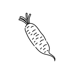 Daikon doodle icon. Hand drawn black sketch. Vector Illustration.