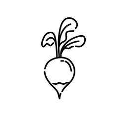 Radish doodle icon. Hand drawn black sketch. Vector Illustration.