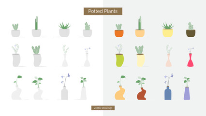 Doodle and flat design potted plants, flower collection. Home decor elements, vector illustrations. Isolated background.