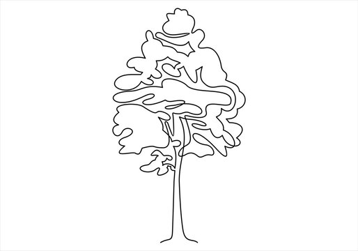continuous line drawing of nature tree illustration