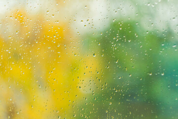 Drops on glass after rain. Autumn weather outside window. Rain outside window.