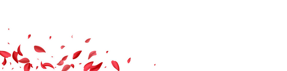 Red Peach Spring Vector White Panoramic