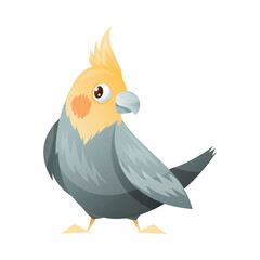 Parrot Bird with Feathers and Beak as Home Pet Animal Vector Illustration