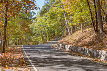 A sunny autumn day in an Arkansas forest.