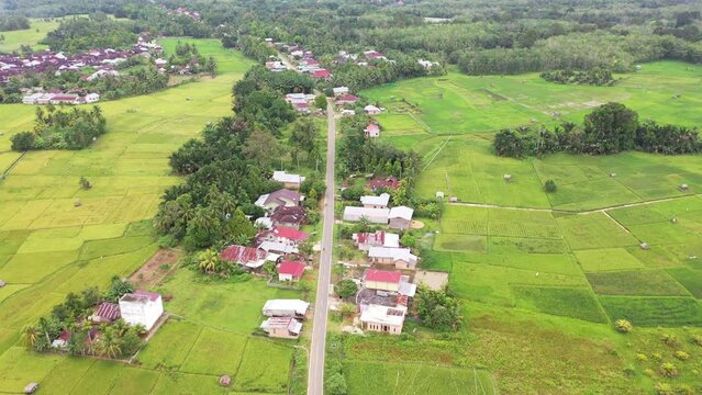 you can see from above the beautiful view of the vast expanse of green rice fields, to be precise, it is in Bungo Regency "Dusun Panjang" which includes people's houses divided by a causeway.