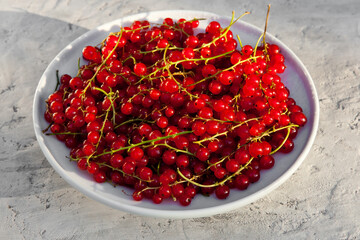 Fresh red currant berries on a concrete-gray background in the rays of the sun.