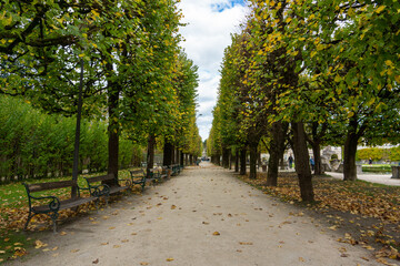 Viale alberato di Mirabellgarten, Salisburgo, Austria