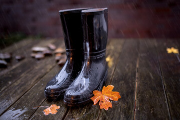 black rubber boots outside on the wet wooden background autumn, fall concept