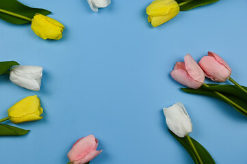 Tulips and Ribbons on blue background.
