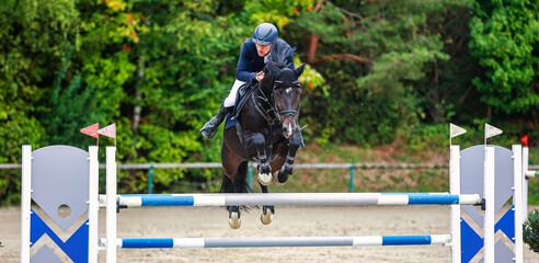 Show jumper with a black horse in the flight phase over the obstacle..